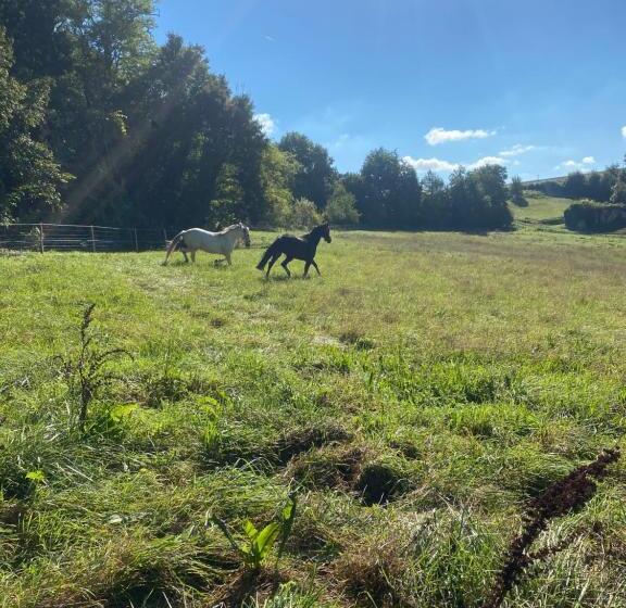 مبيت وإفطار Chez Sophie Chambres D’hôtes, Gîte Et Gîte équestre