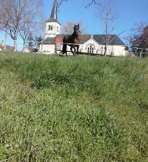 Aamiaismajoitus (B&B) Escale Du Morvan