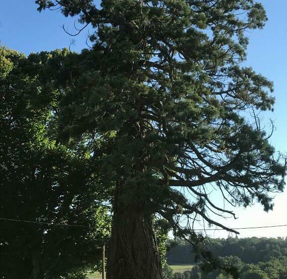 צימר Le Cottage Du Séquoia