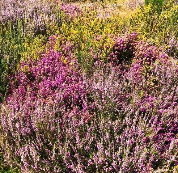 צימר Le Cottage Du Séquoia