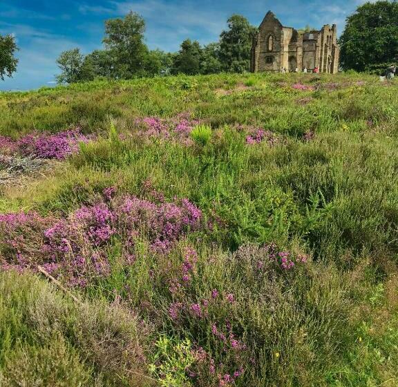 צימר Le Cottage Du Séquoia
