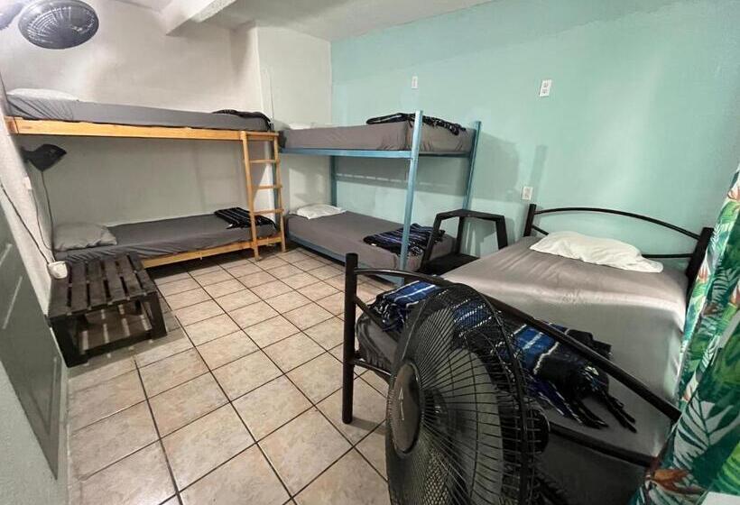 פנסיון Nómadas Hostel