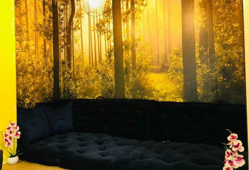 Room Mate Hostel Amsterdam Zaandam