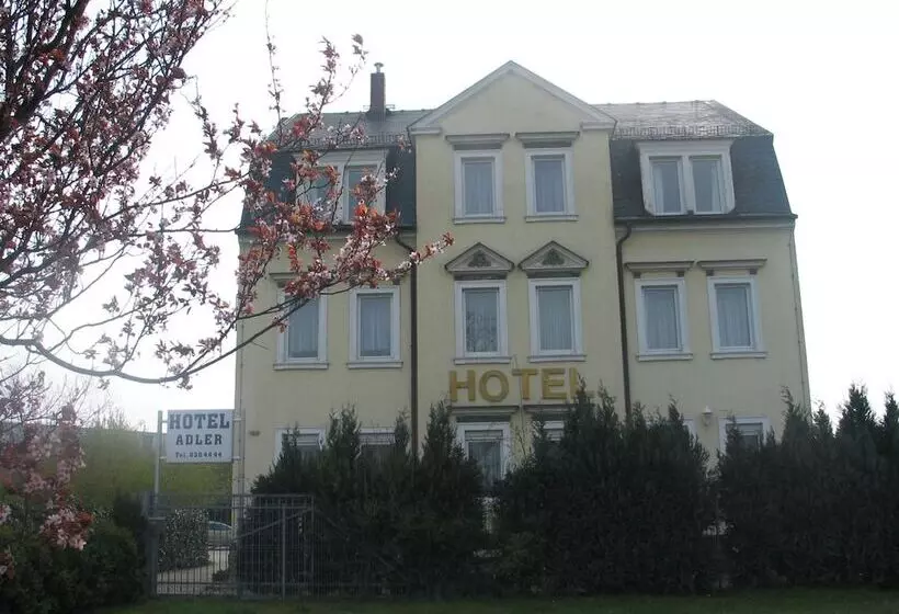 酒店 Adler