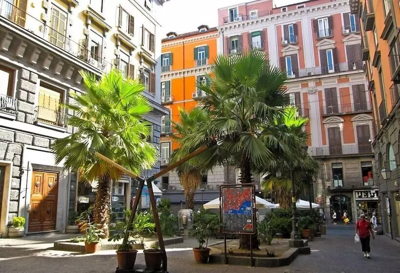 تختخواب و صبحانه Bb Augusteo