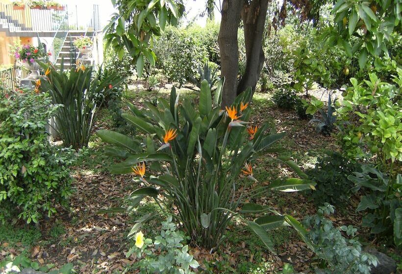 مبيت وإفطار Baglio Delle Rose