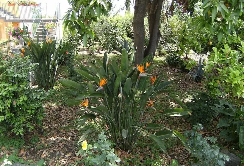 تختخواب و صبحانه Baglio Delle Rose