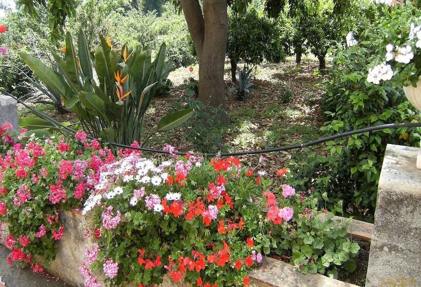 مبيت وإفطار Baglio Delle Rose