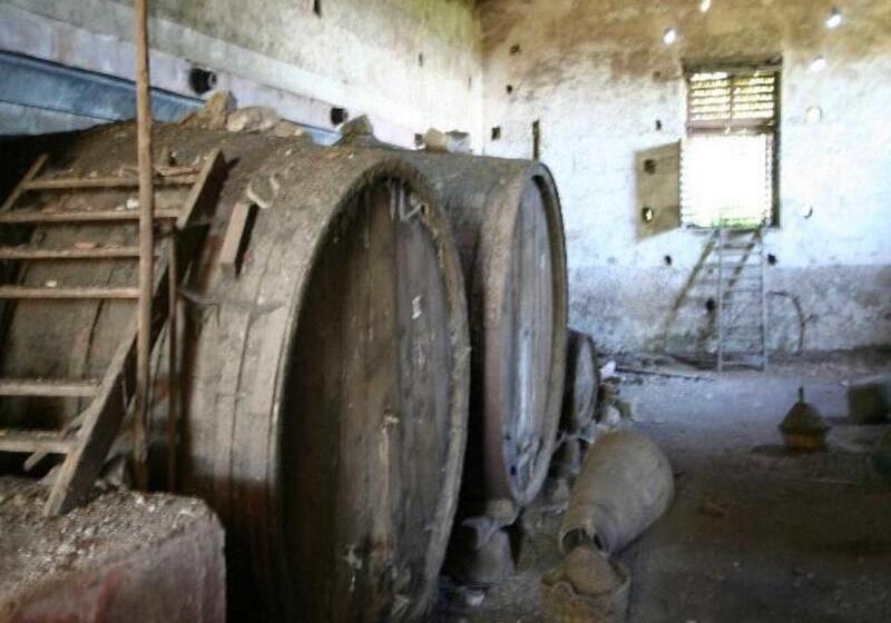 مبيت وإفطار Baglio Delle Rose