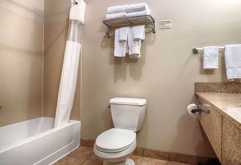 فندق Best Western Plus Eastgate Inn & Suites