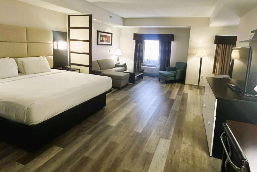 בית מלון כפרי Best Western Plus Jfk Inn & Suites