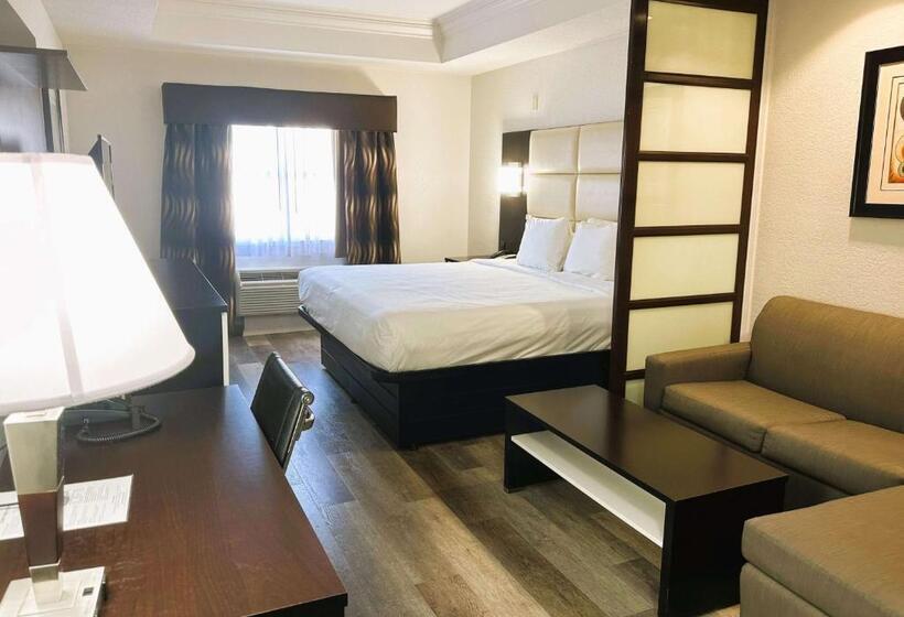 בית מלון כפרי Best Western Plus Jfk Inn & Suites