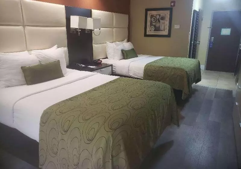 Отель Best Western Plus Jfk Inn & Suites