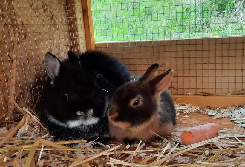 هتل Landgasthof Simon