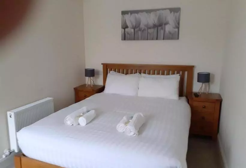 ホテル Paddy S Palace Dingle Peninsula