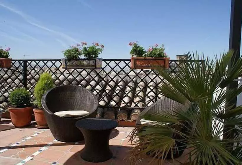 Oasis Backpackers  Hostel Granada