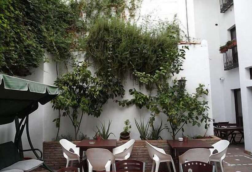 Oasis Backpackers Hostel Granada