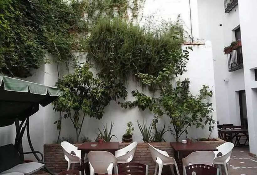 Oasis Backpackers  Hostel Granada