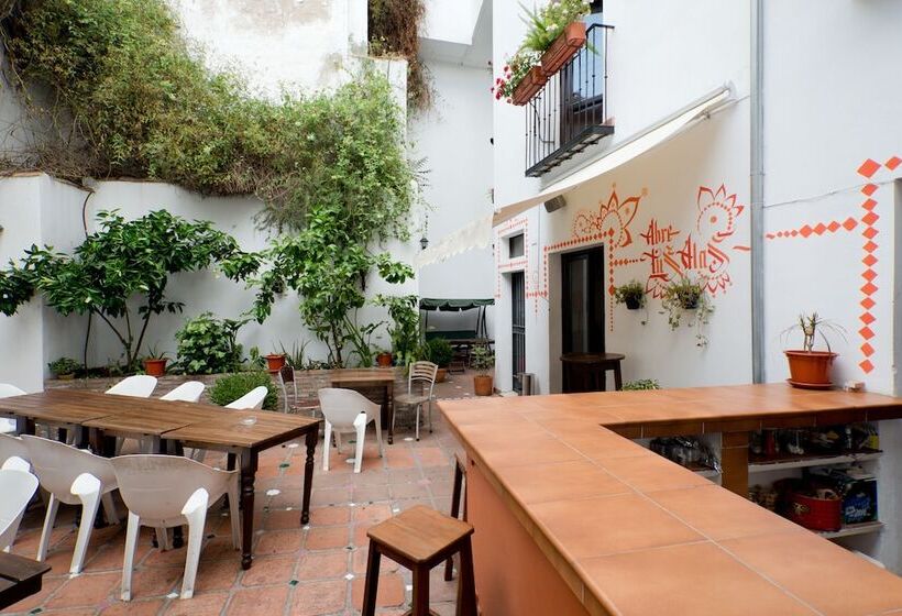 Oasis Backpackers Hostel Granada