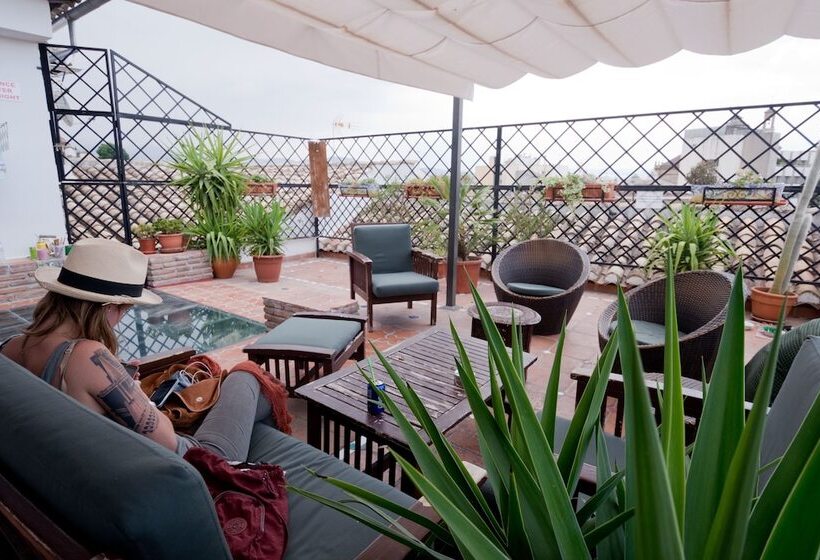 Oasis Backpackers Hostel Granada