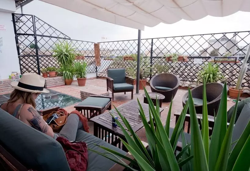 Oasis Backpackers  Hostel Granada