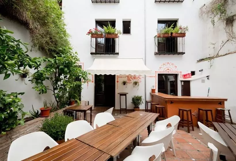 Oasis Backpackers  Hostel Granada