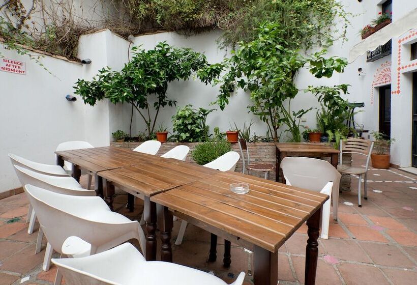 Oasis Backpackers Hostel Granada