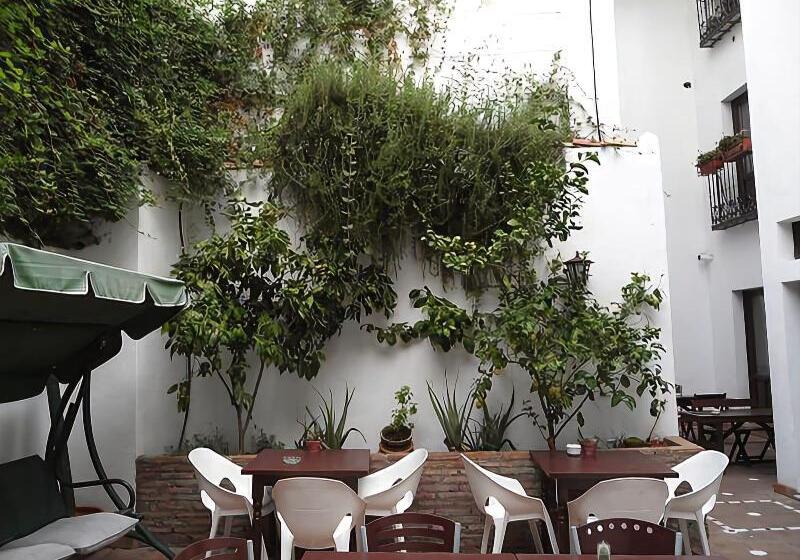 Oasis Backpackers Hostel Granada