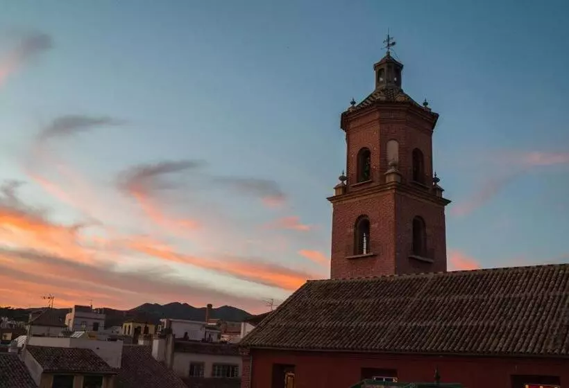 هاستل Apartamentos Málaga Premium   Calle San Telmo