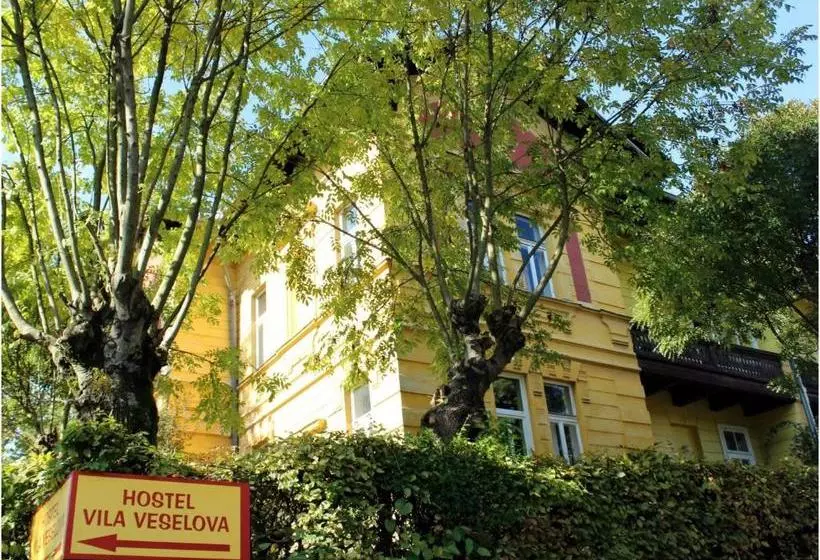 Vila Veselova Hostel