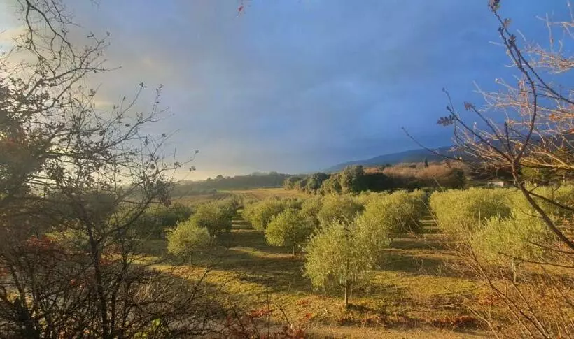 Nocleg ze śniadaniem Chambre Hôtes Les Garrigues Cucuron