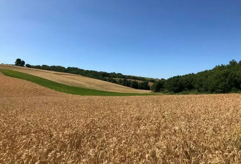 Nocleg ze śniadaniem Chambre Hôtes Les Garrigues Cucuron