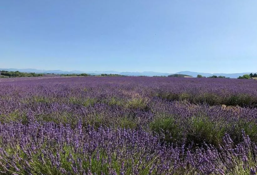 Nocleg ze śniadaniem Chambre Hôtes Les Garrigues Cucuron