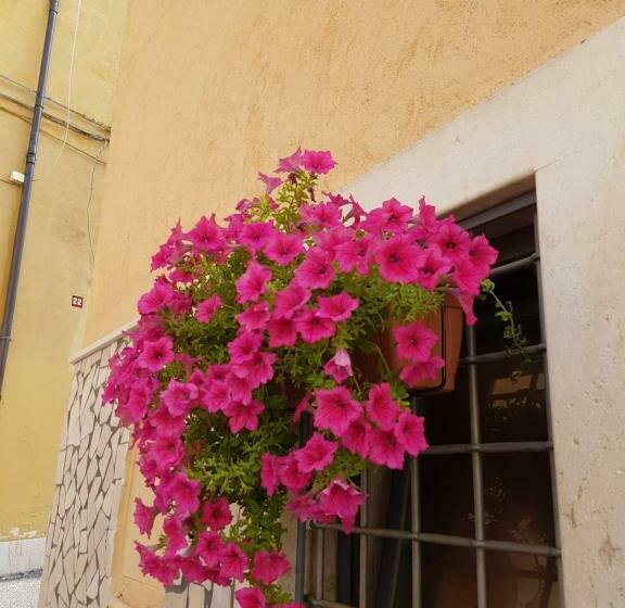 تختخواب و صبحانه La Casetta Di Priscilla