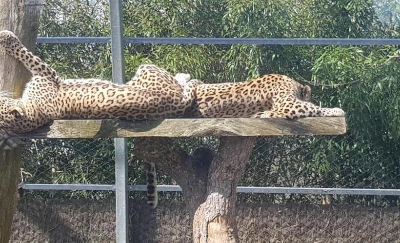 膳宿费 Maison De Berry Bed & Breakfast