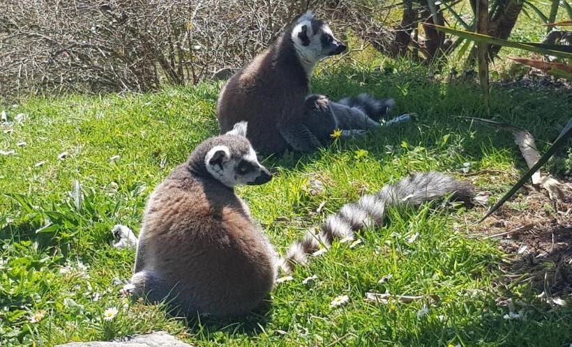 膳宿费 Maison De Berry Bed & Breakfast