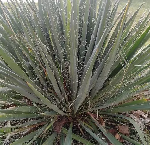 Majatalo Zsuzsanna Vendégház