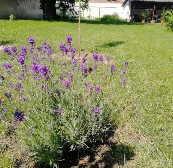 Majatalo Zsuzsanna Vendégház