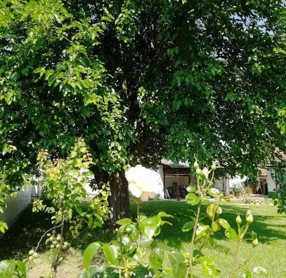 Majatalo Zsuzsanna Vendégház