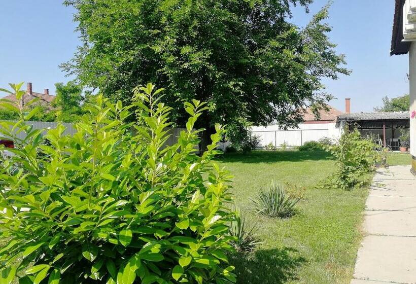 بنسيون Zsuzsanna Vendégház