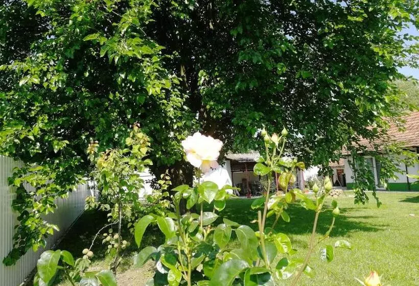 Majatalo Zsuzsanna Vendégház