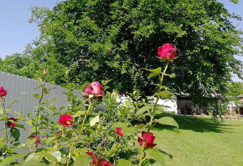 بنسيون Zsuzsanna Vendégház