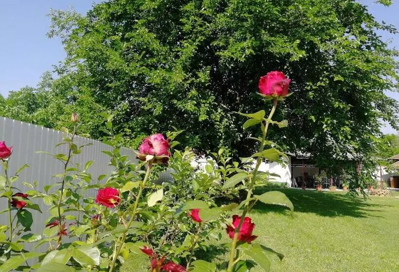 Majatalo Zsuzsanna Vendégház