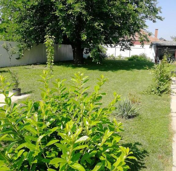 بنسيون Zsuzsanna Vendégház