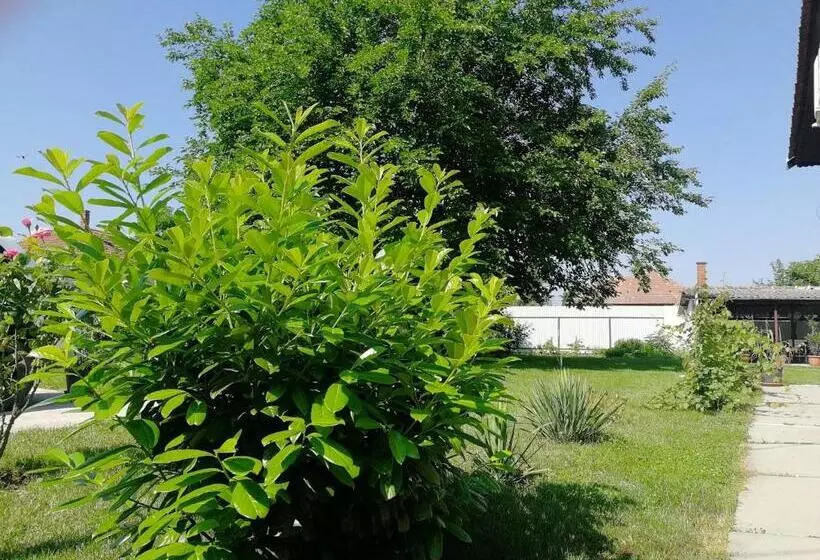 Majatalo Zsuzsanna Vendégház