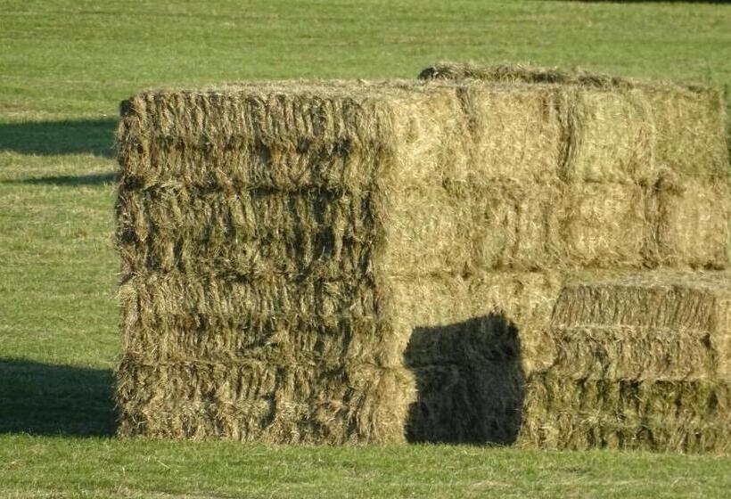 Отель Heufelder Hof