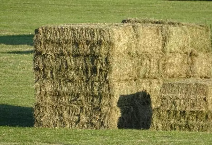 Hotelli Heufelder Hof