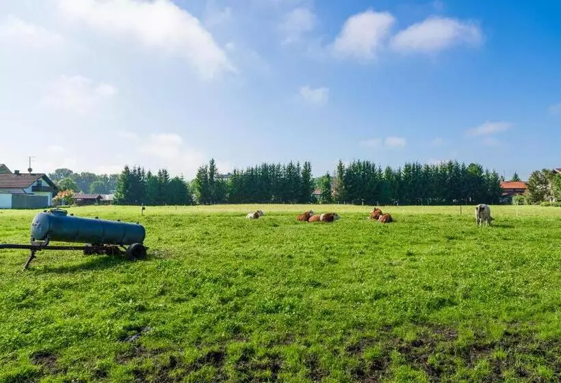 Hotelli Heufelder Hof