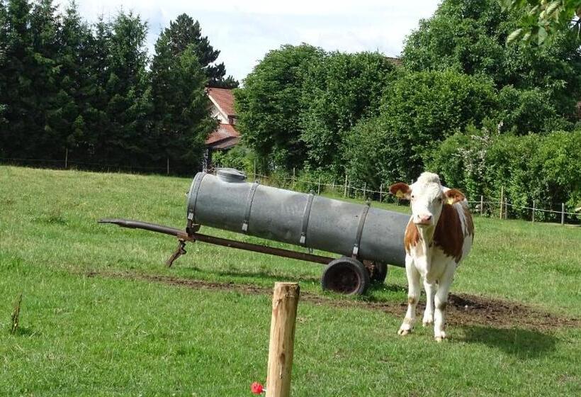 Отель Heufelder Hof