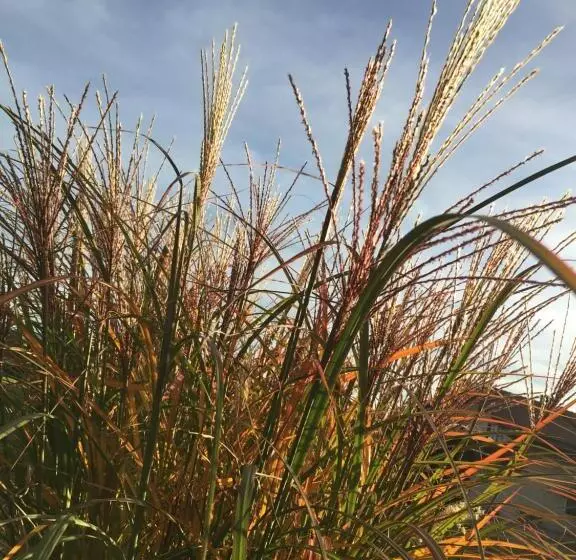 Hotelli Heufelder Hof